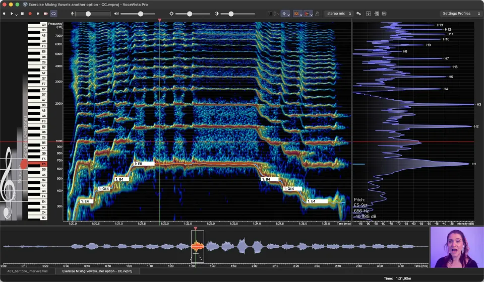 Ett sjunget arpeggio upp och ned igen: spektrogrammet med deltonspektrumet bredvid, där deltonerna H1 till H13 stiger längs den gemensamma frekvensaxeln
